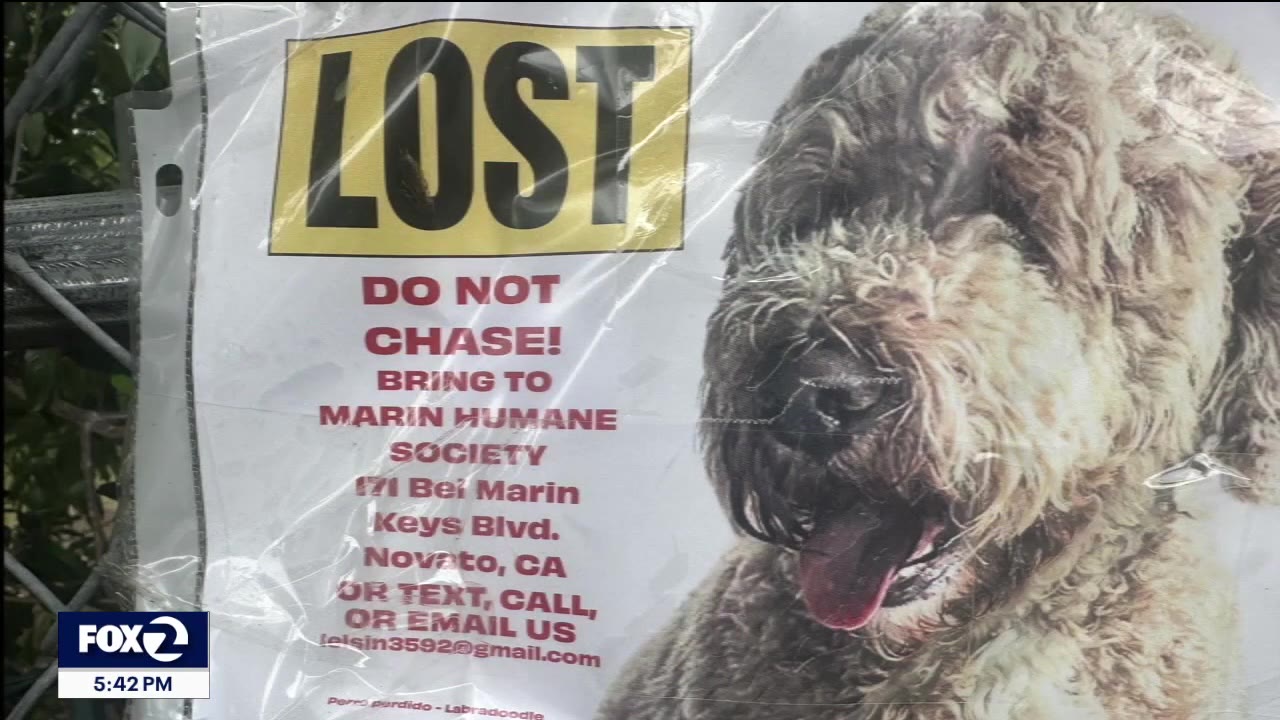 Oregon family searches for dog missing in Marin County